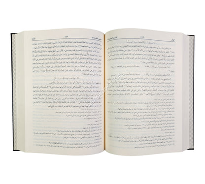 مغني اللببب عن كتب الأعاريب-اللباب-كبير ت:فخر الدين قباوة