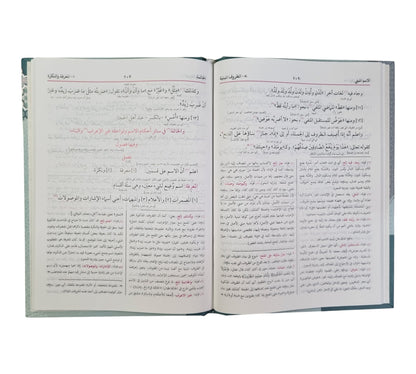 هداية النحو-البشرى