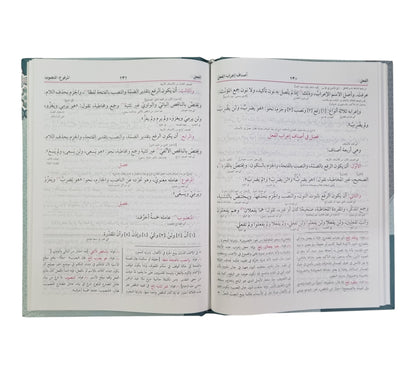 هداية النحو-البشرى