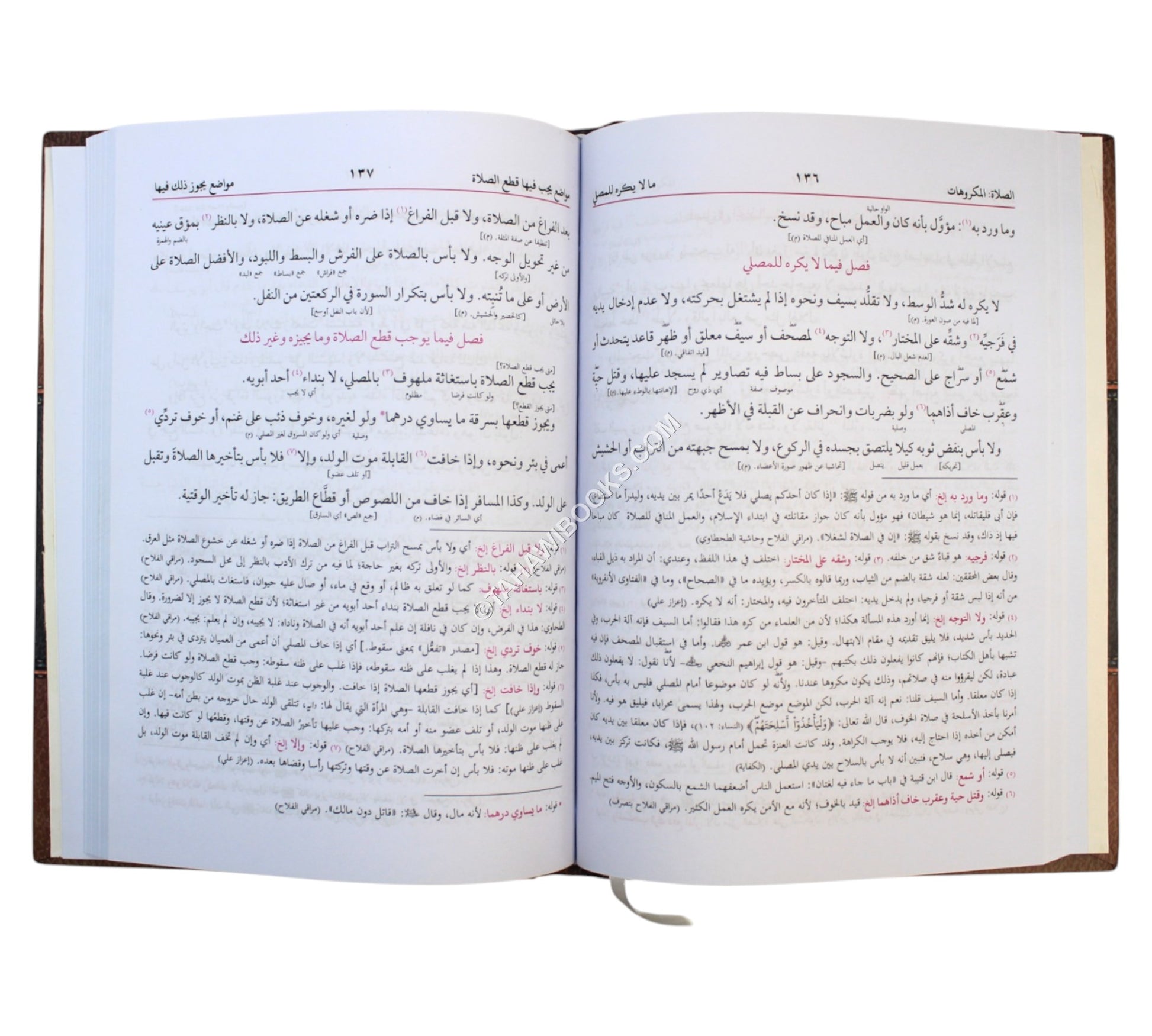 نور الإيضاح -البشرى