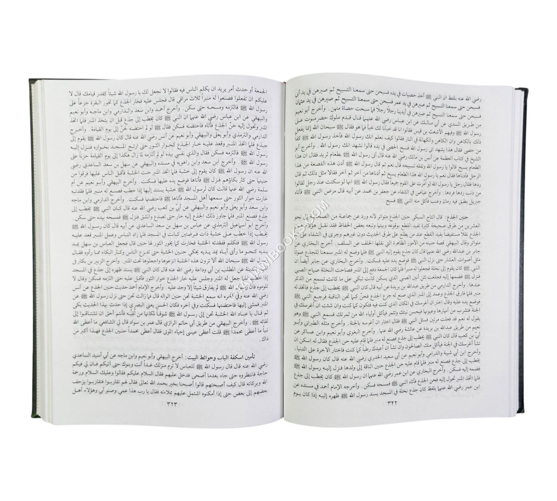 حجة الله على العالمين في معجزات سيد المرسلين