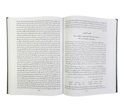 حجة الله على العالمين في معجزات سيد المرسلين