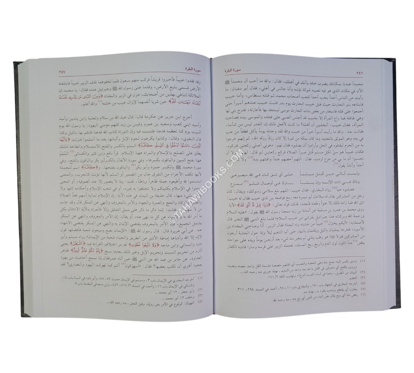 التفسير المظهري