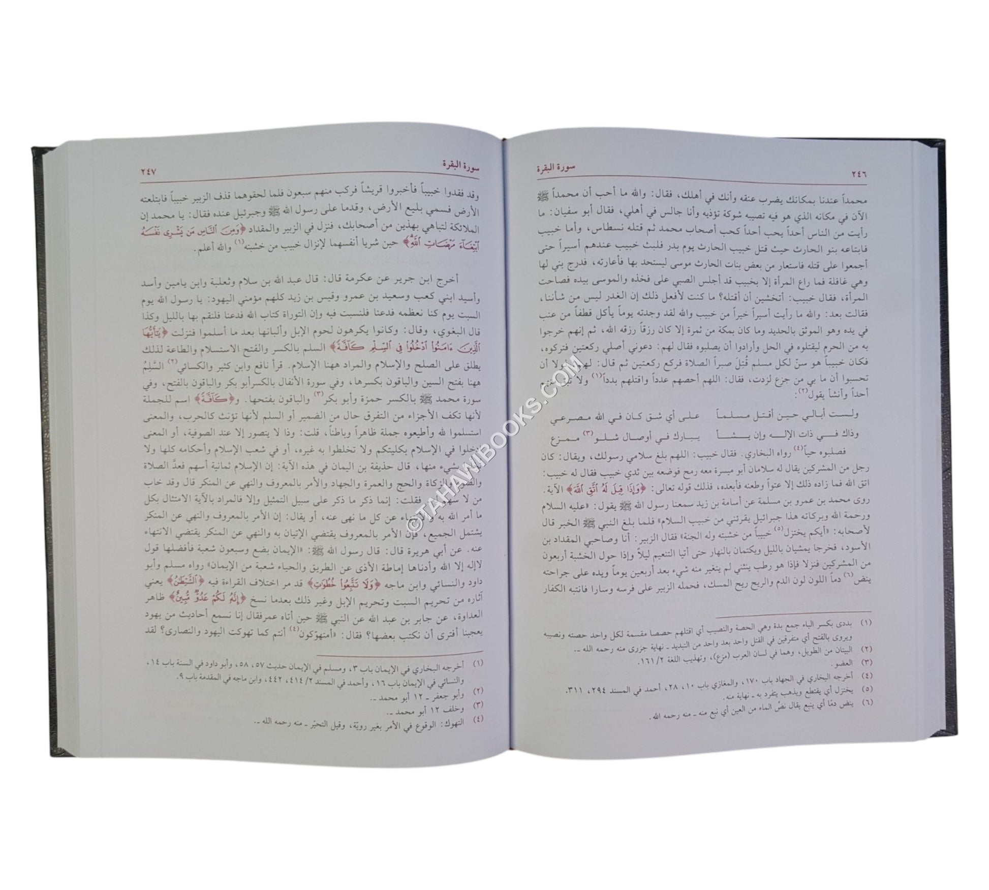 التفسير المظهري