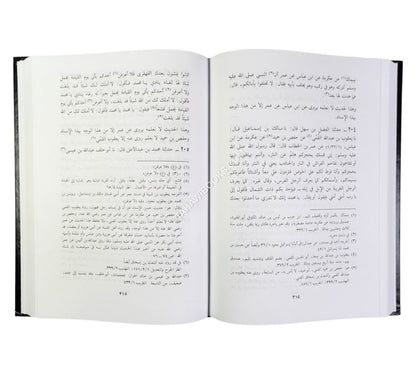 البحر الزخار:مسند البزار