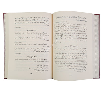 السنن الكبرى للنسائي-الرسالة