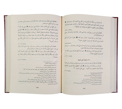 السنن الكبرى للنسائي-الرسالة