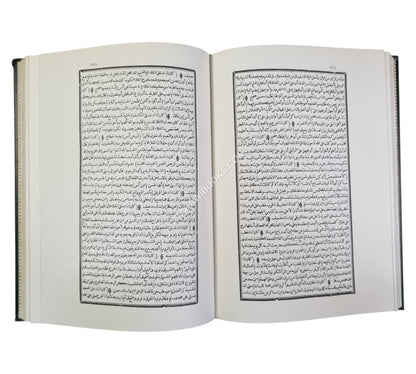 التيسير شرح الجامع الصغير