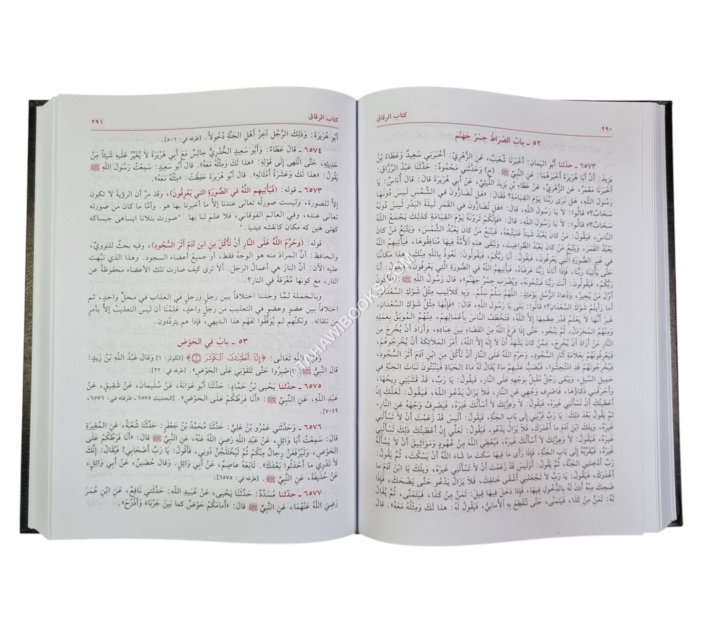 فيض الباري على صحيح البخاري