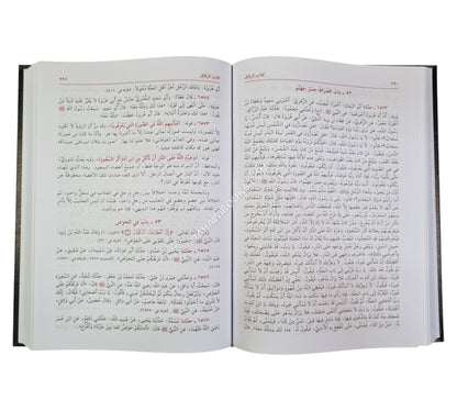 فيض الباري على صحيح البخاري