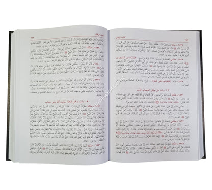 فيض الباري على صحيح البخاري