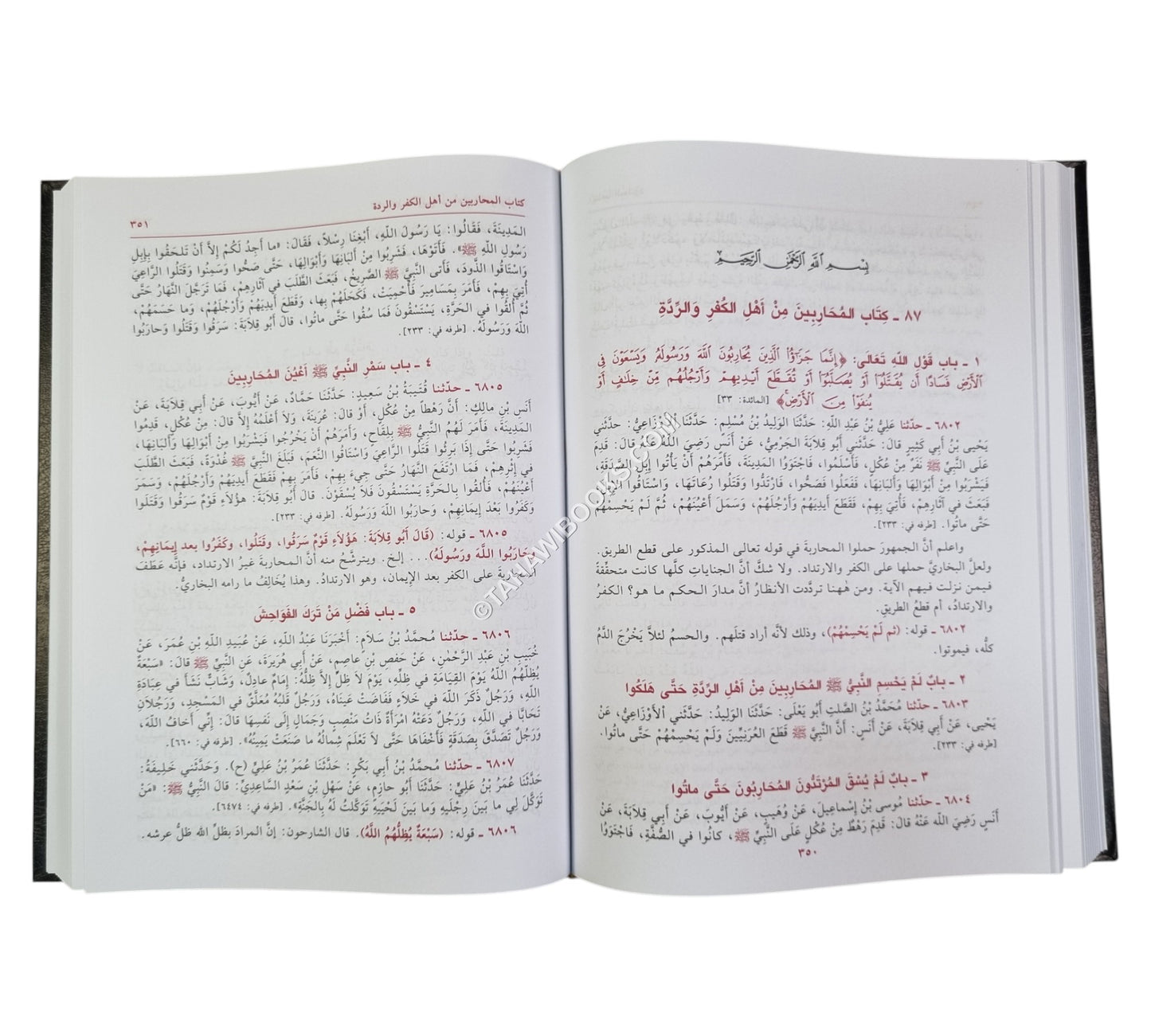 فيض الباري على صحيح البخاري
