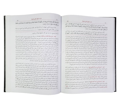 الفتوحات الربانية على الأذكار النواوية-العلمية