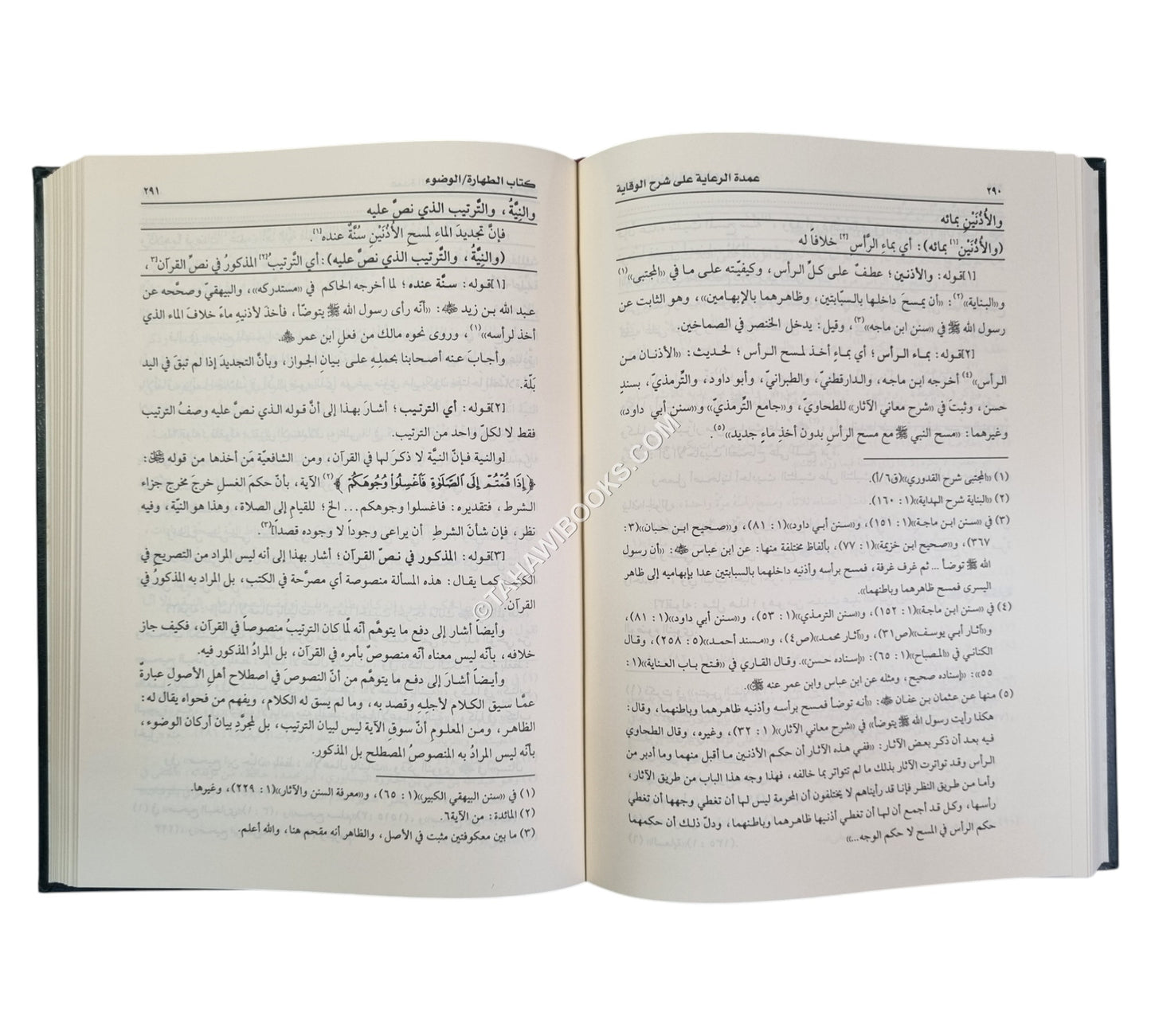 عمدة الرعاية على شرح الوقاية-العلمية ت:صلاح أبو الحاج