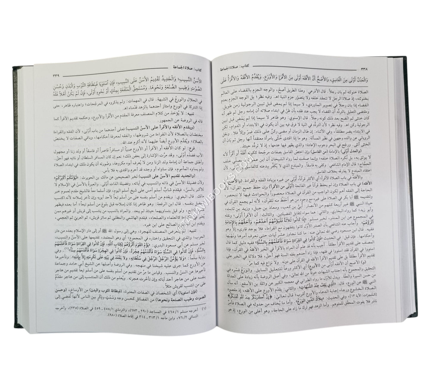 مغني المحتاج إلى معرفة معاني ألفاظ المنهاج-العلمية