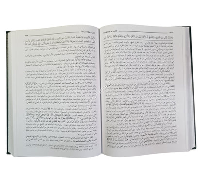 مغني المحتاج إلى معرفة معاني ألفاظ المنهاج-العلمية