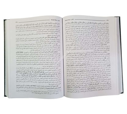 مغني المحتاج إلى معرفة معاني ألفاظ المنهاج-العلمية