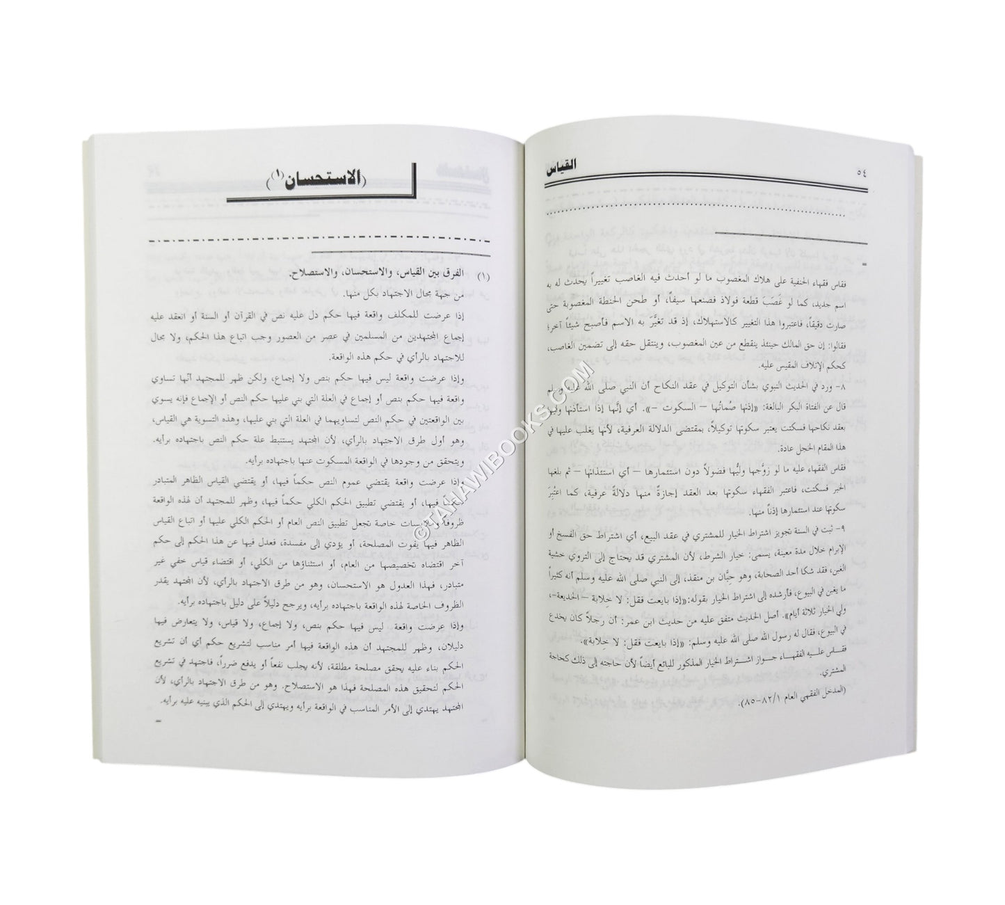 النخبة الذكية في فن أصول فقه مذهب الحنفية