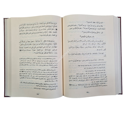 سير أعلام النبلاء-الرسالة