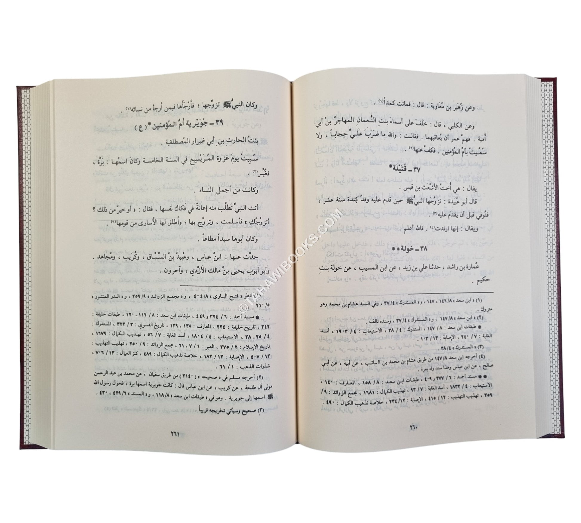 سير أعلام النبلاء-الرسالة