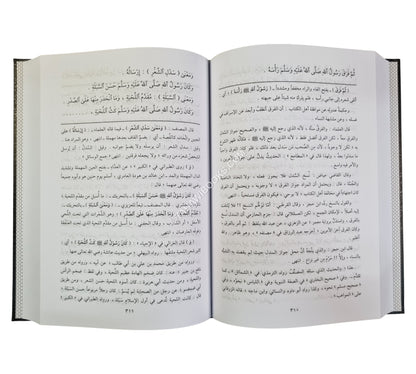 منتهى السول على وسائل الوصول إلى شمائل الرسول
