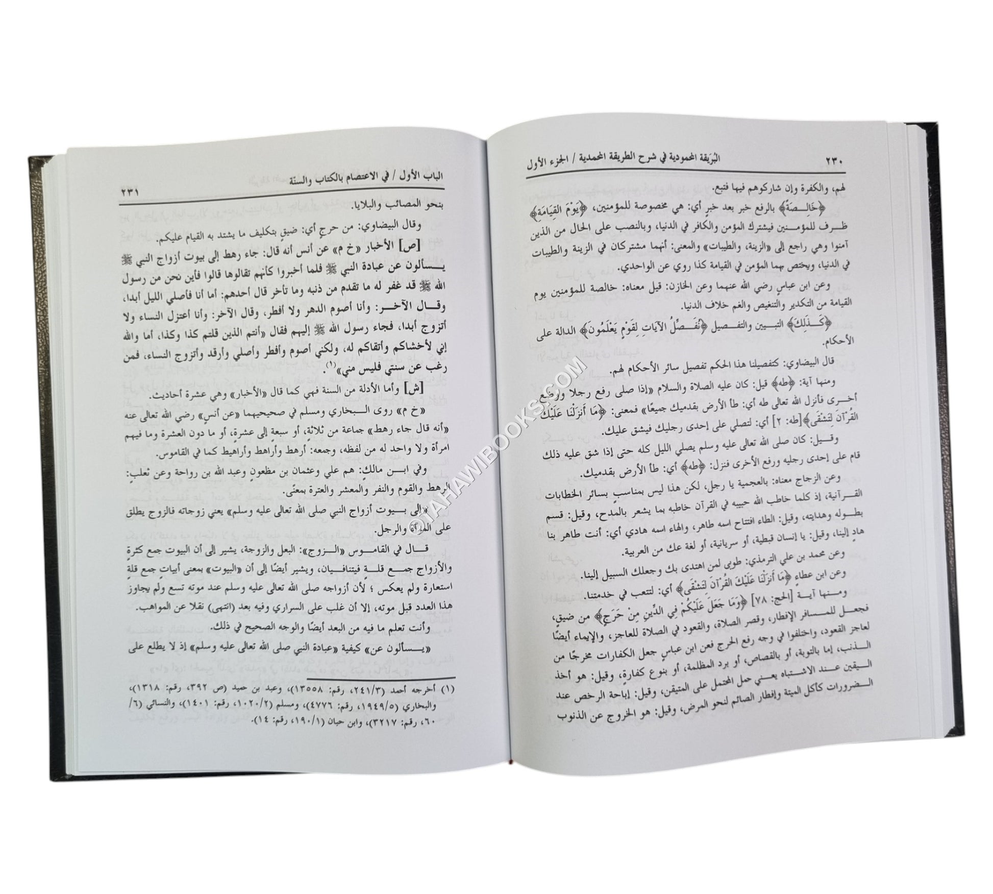 البريقة المحمودية في شرح الطريقة المحمدية للبركوي
