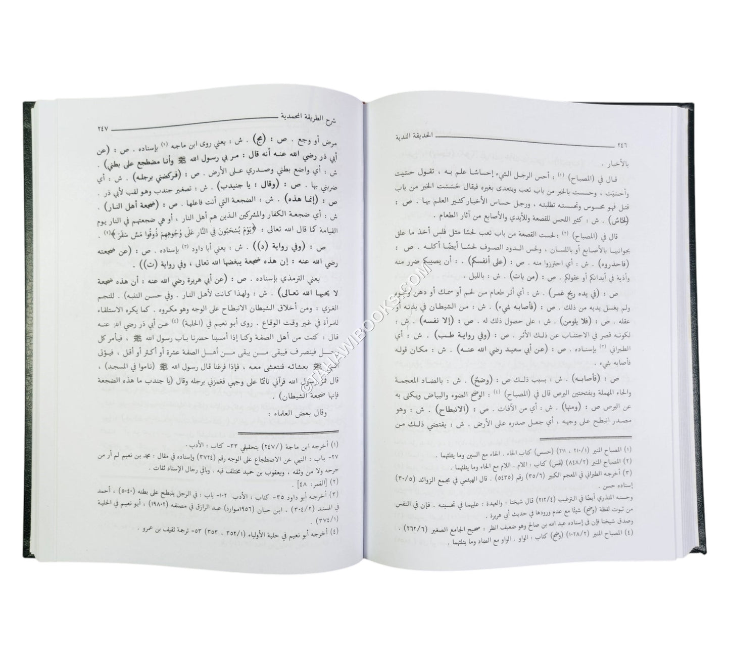 الحديقة الندية شرح الطريقة المحمدية والسيرة الأحمدية للشيخ زين الدين الرومي البركلي