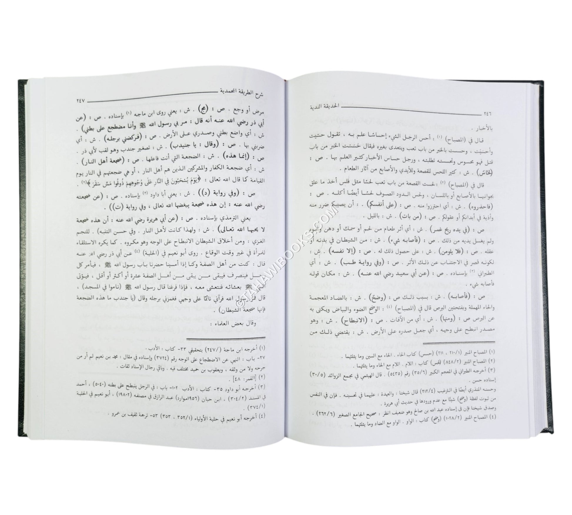 الحديقة الندية شرح الطريقة المحمدية والسيرة الأحمدية للشيخ زين الدين الرومي البركلي