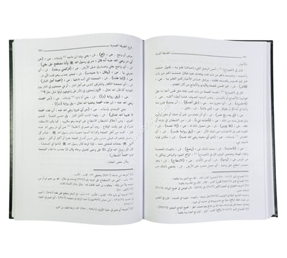 الحديقة الندية شرح الطريقة المحمدية والسيرة الأحمدية للشيخ زين الدين الرومي البركلي