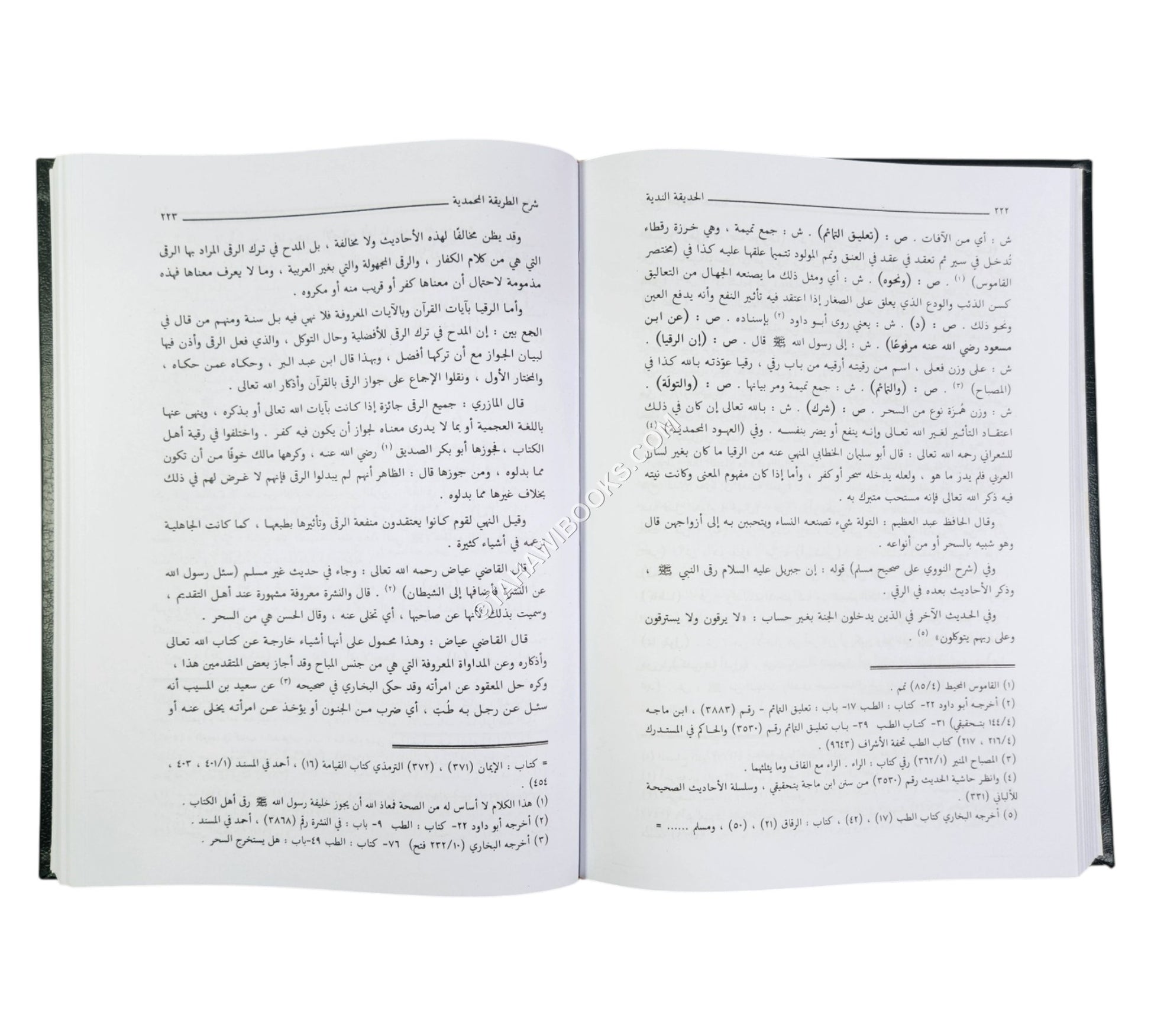 الحديقة الندية شرح الطريقة المحمدية والسيرة الأحمدية للشيخ زين الدين الرومي البركلي