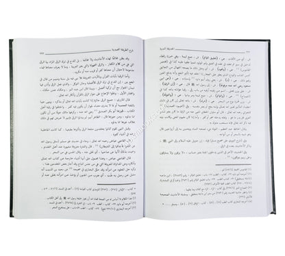 الحديقة الندية شرح الطريقة المحمدية والسيرة الأحمدية للشيخ زين الدين الرومي البركلي
