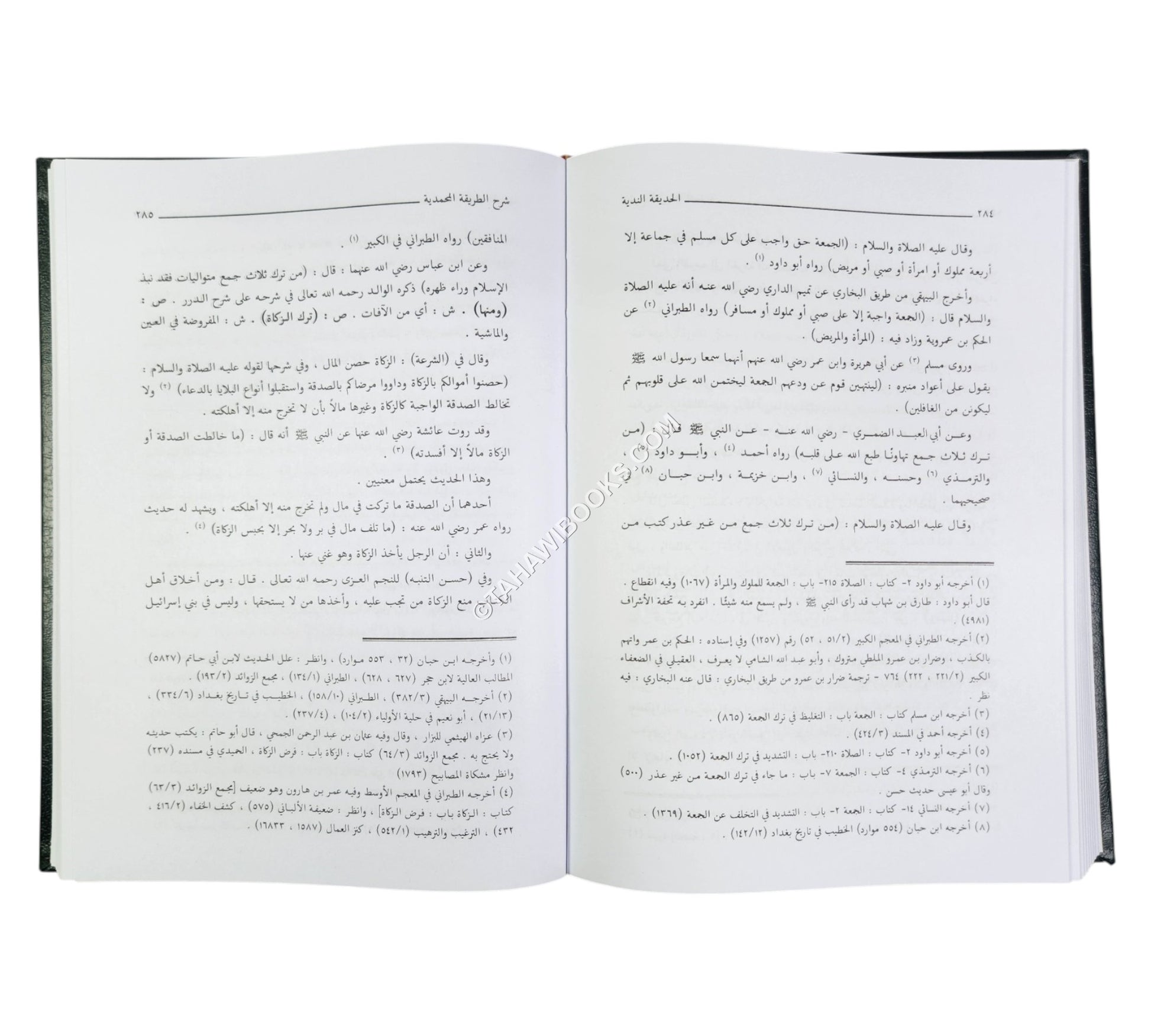 الحديقة الندية شرح الطريقة المحمدية والسيرة الأحمدية للشيخ زين الدين الرومي البركلي