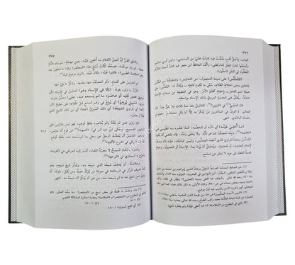 ظفر الأماني بشرح مختصر الجرجاني-البشائر ت:عبد الفتاح أبو غدة