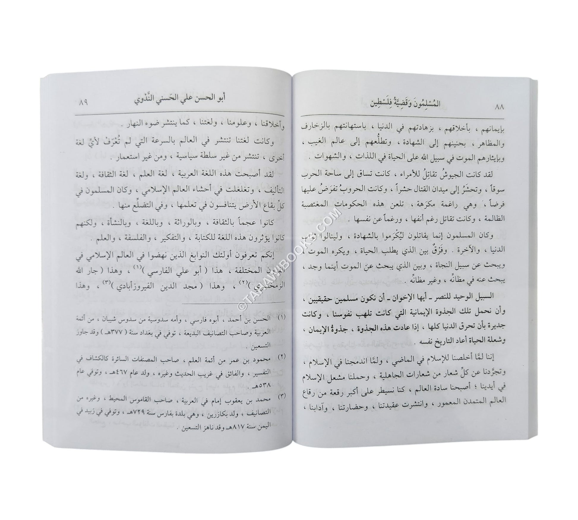 المسلمون وقضية فلسطين-وسط