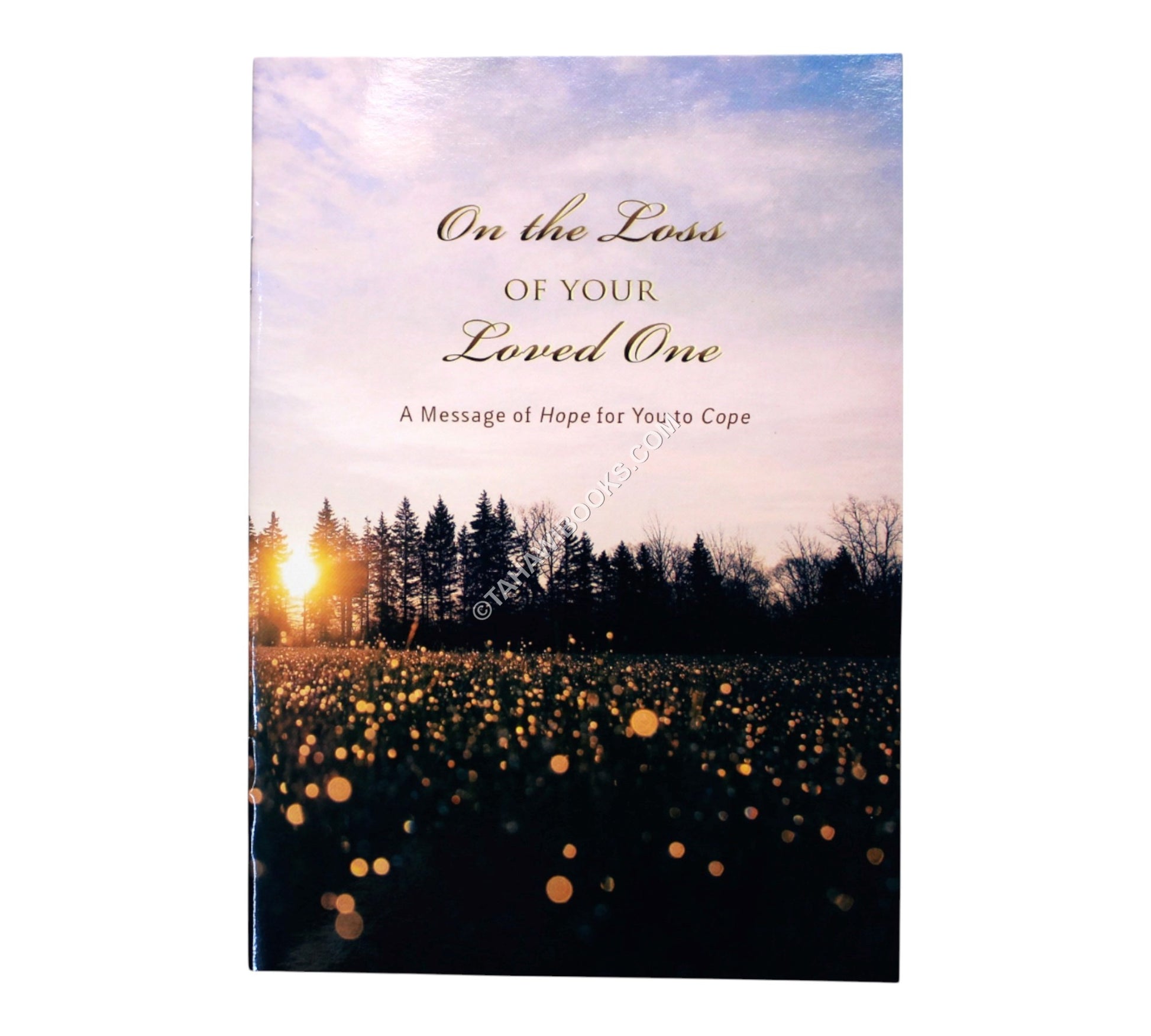 On The Loss Of Your Loved One