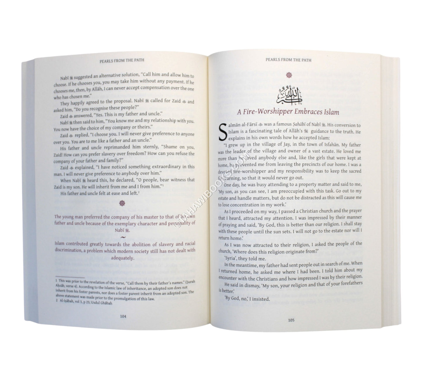 Pearls from the Path-Vol1