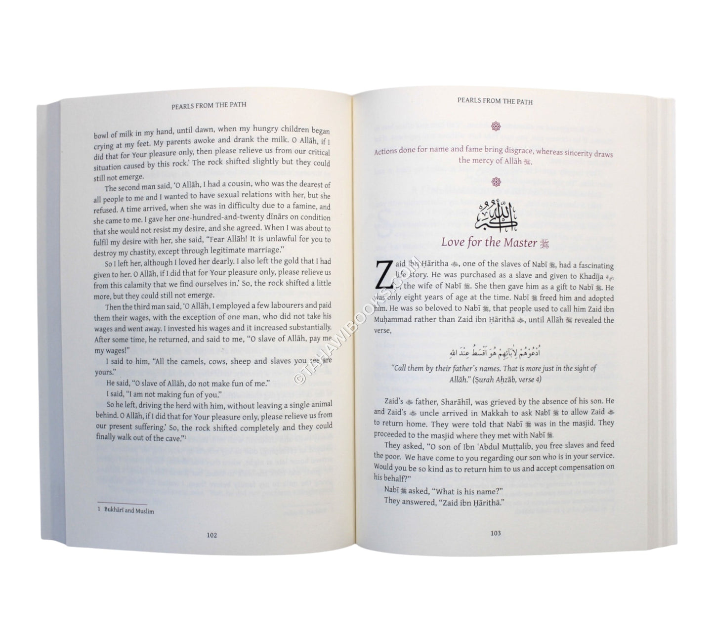 Pearls from the Path-Vol1