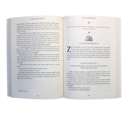 Pearls from the Path-Vol1