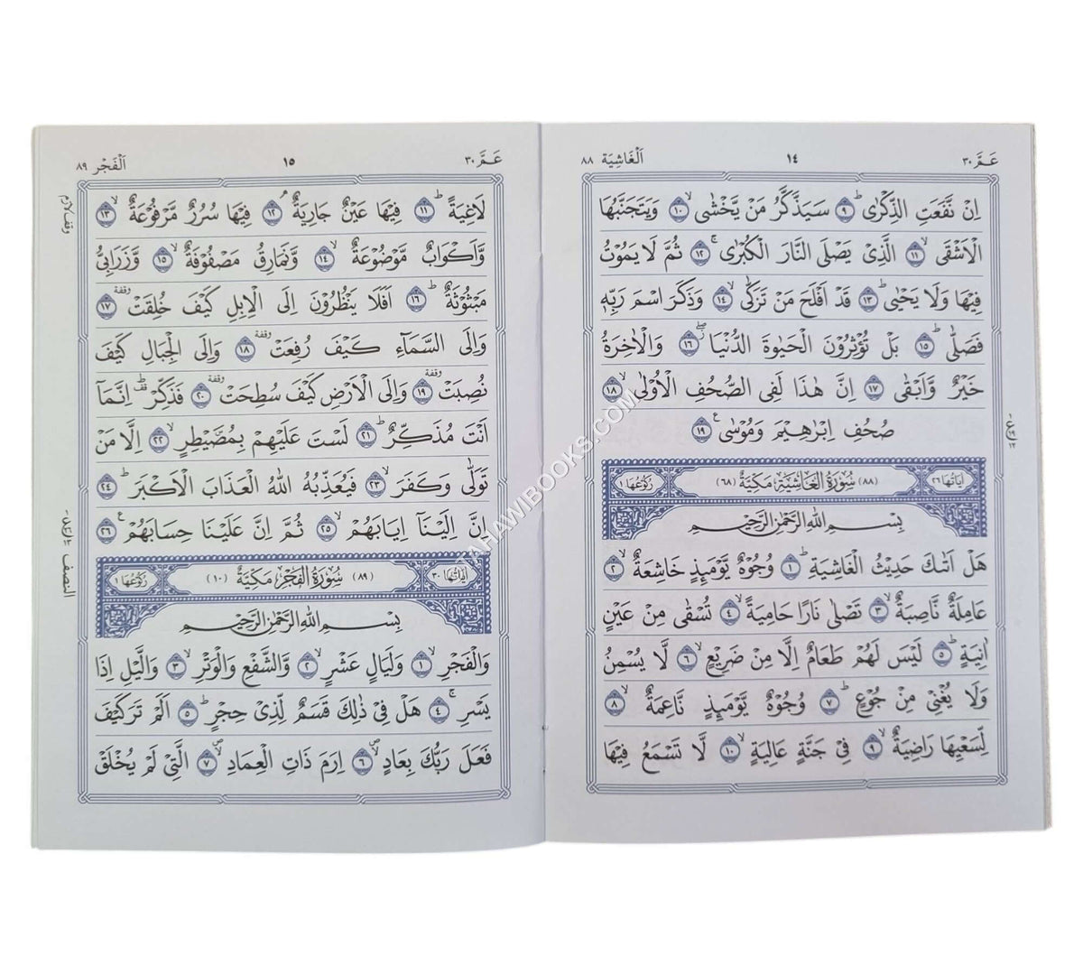 Juzz Amma-13 line