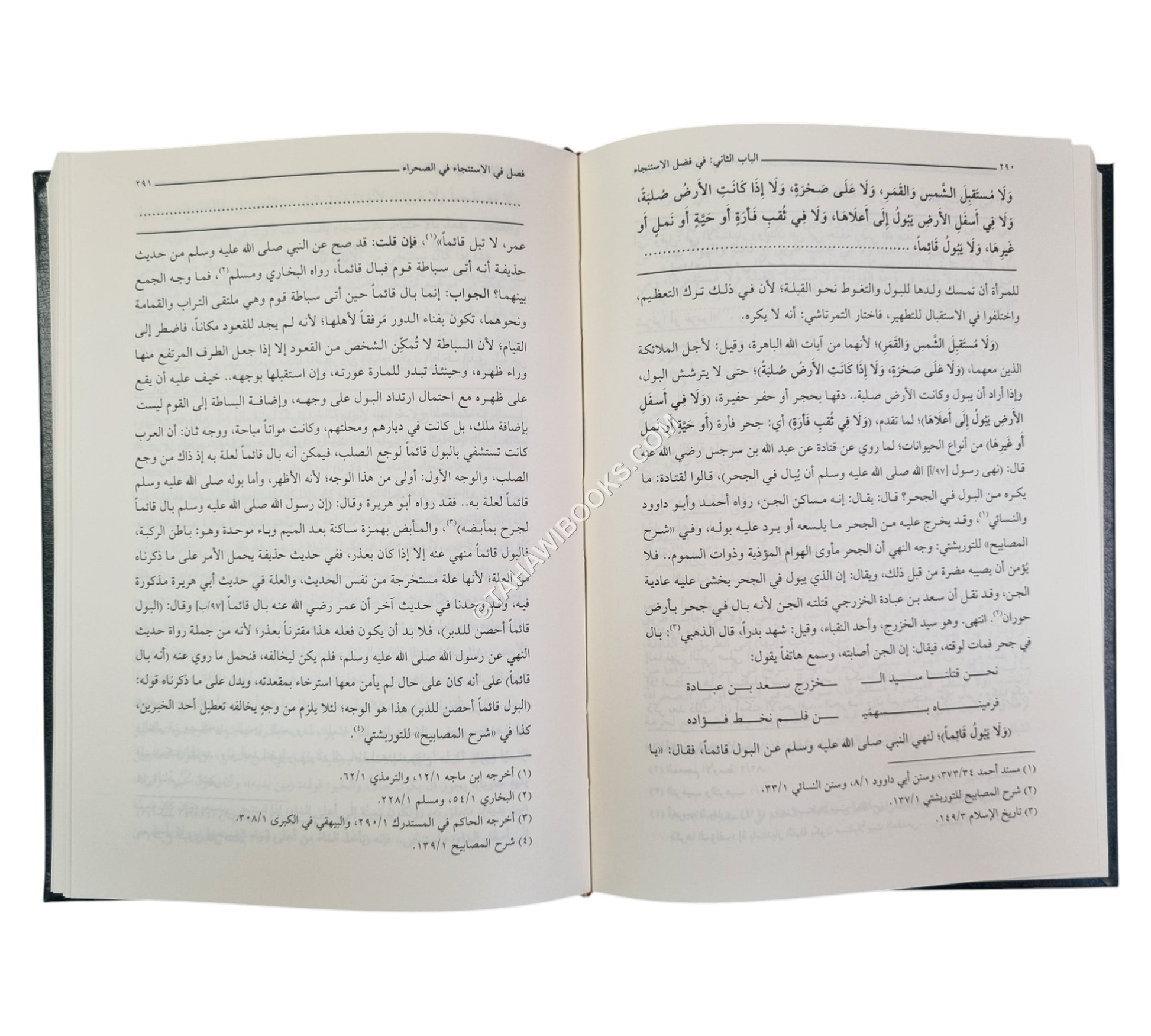 الضياء المعنوي شرح مقدمة الغزنوي