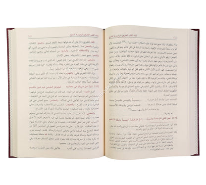 شفاء القلب الجريح بشرح بردة المديح