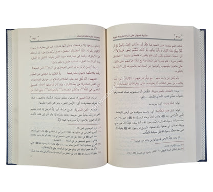 حاشية الصاوي على شرح الخريدة البهية