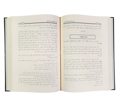 الأصل