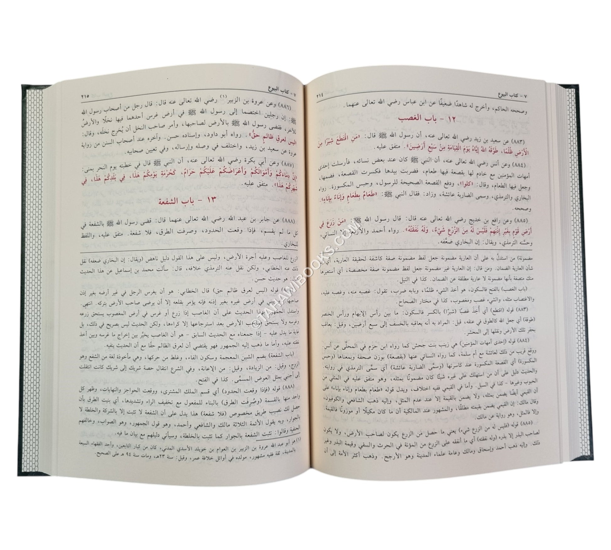 بلوغ المرام من أدلة الأحكام -الفيحاء