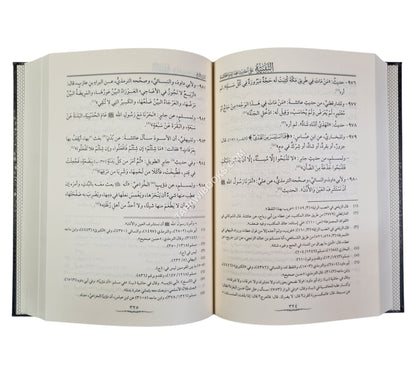 التنبيه على أحاديث الهداية والخلاصة-المنهاج القويم