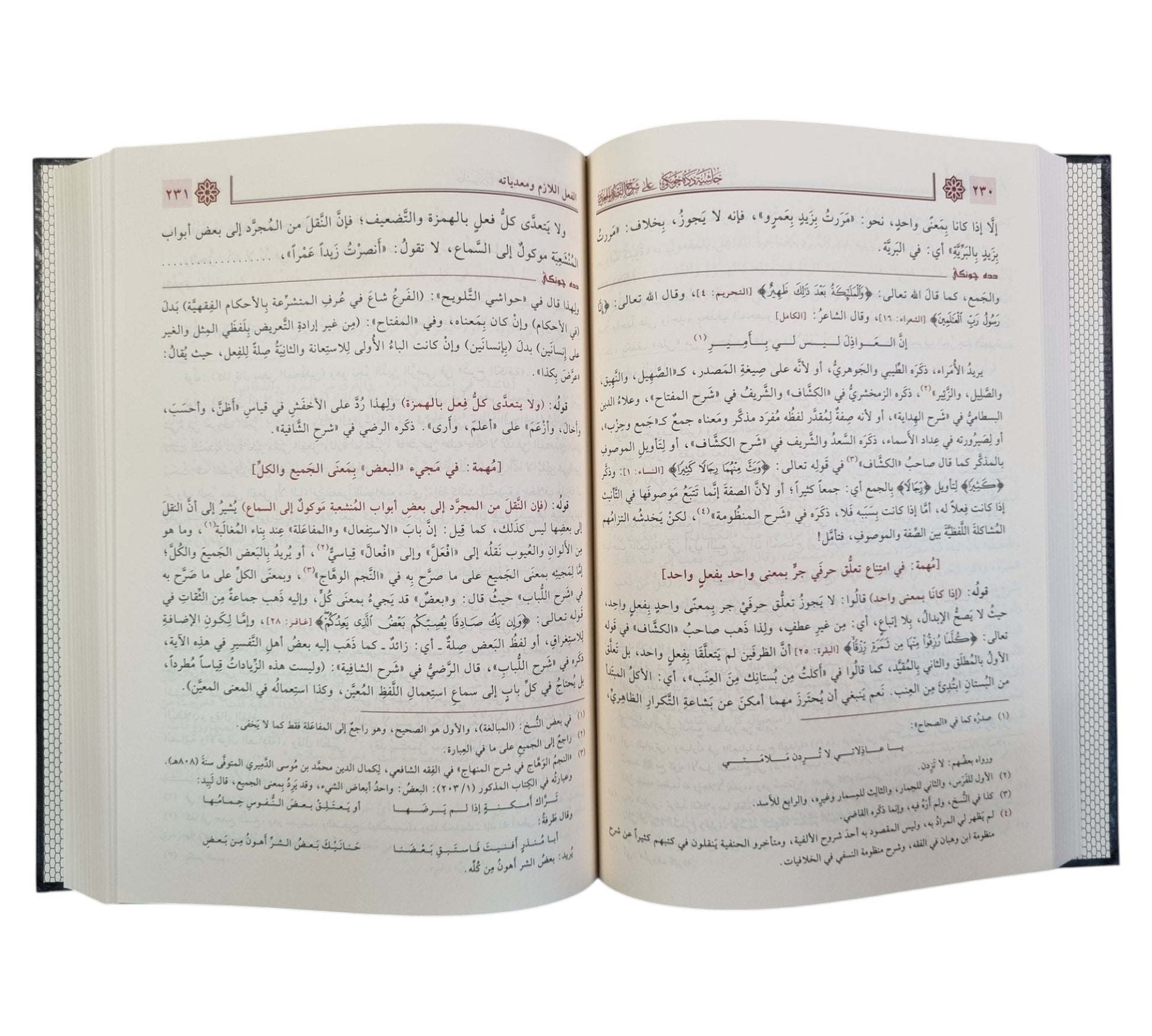 حاشية دده جونكي على شرح التصريف