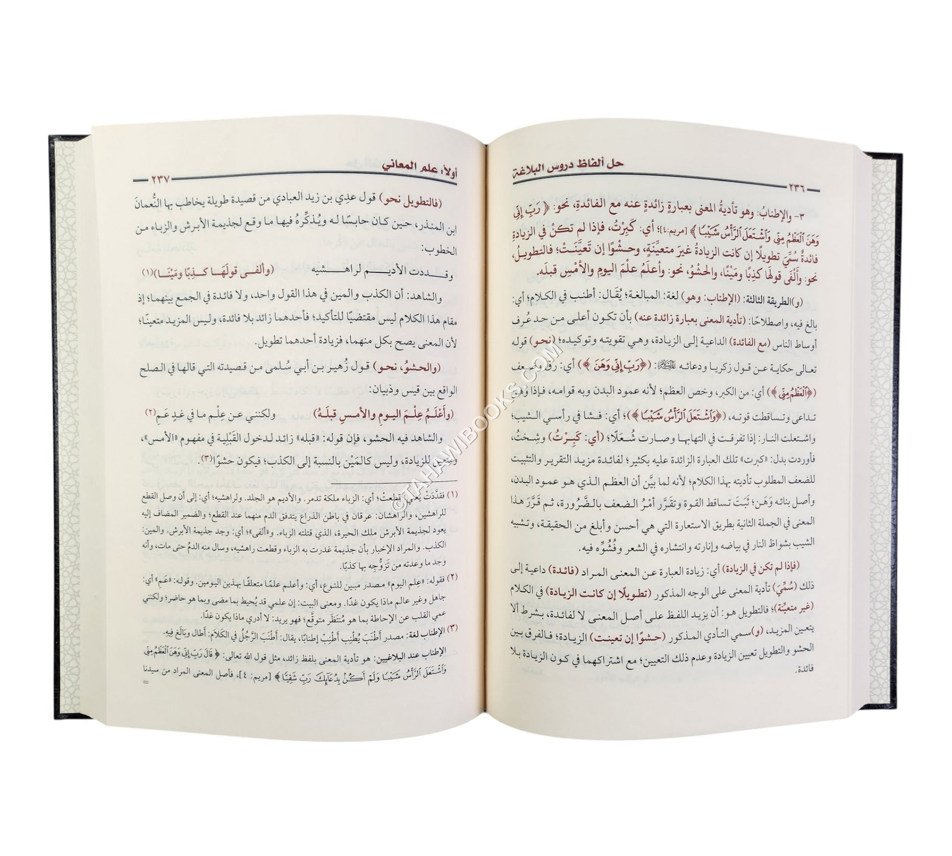 أفنان الصياغة في حل ألفاظ دروس البلاغة