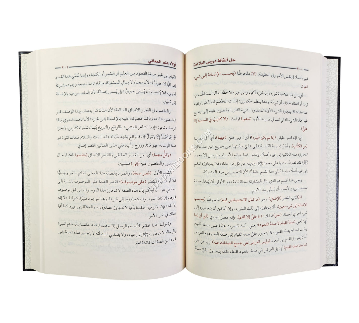 أفنان الصياغة في حل ألفاظ دروس البلاغة