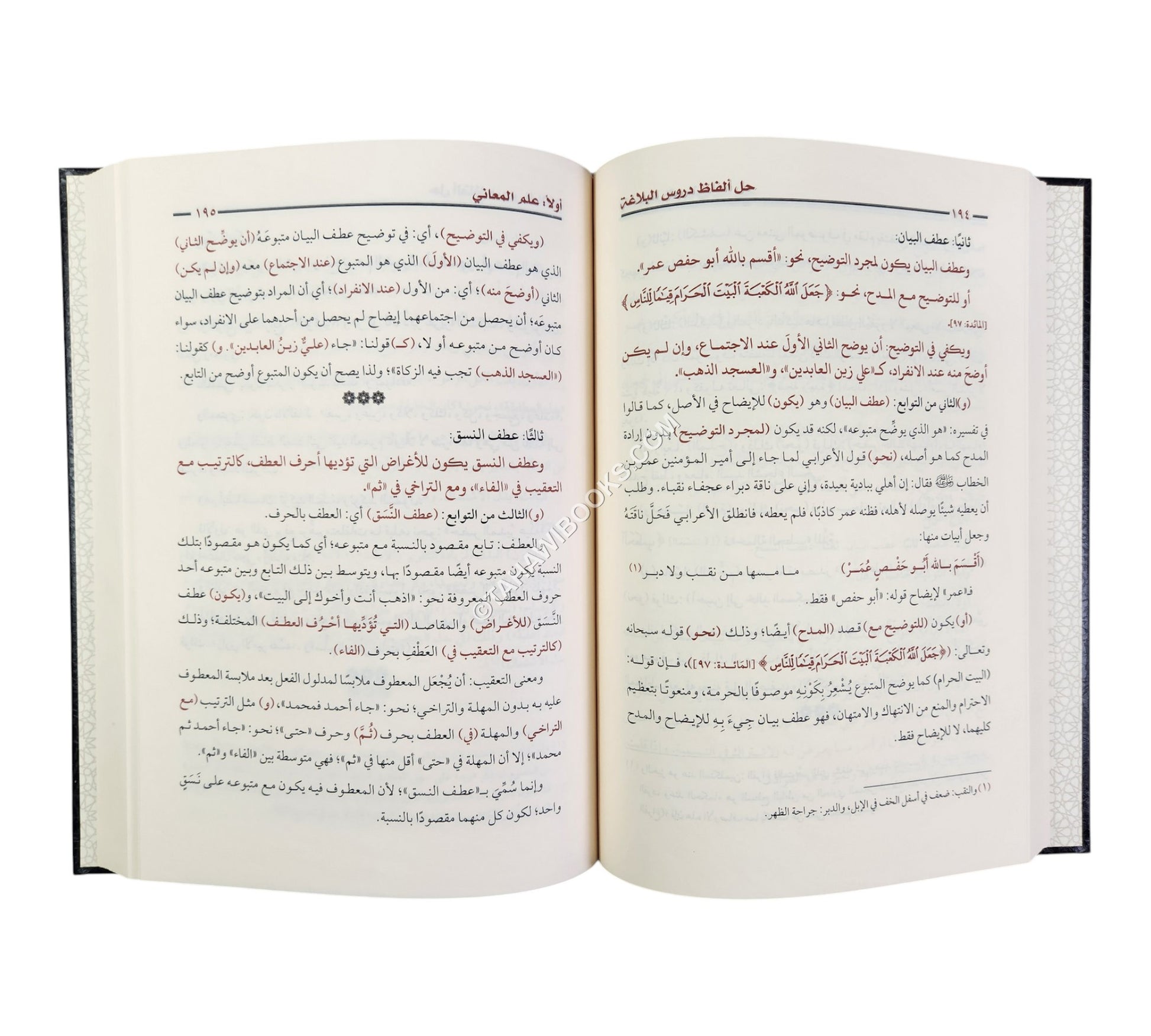 أفنان الصياغة في حل ألفاظ دروس البلاغة