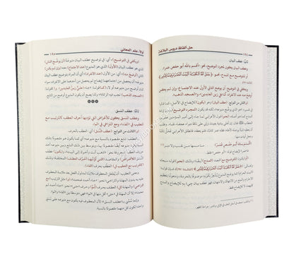 أفنان الصياغة في حل ألفاظ دروس البلاغة